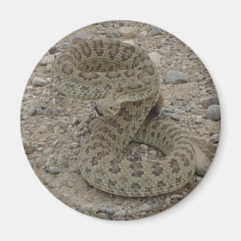R9 Prairie Rattlesnake Coiled Magnet