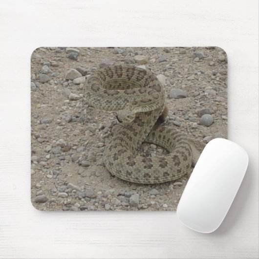 R9 Prairie Rattlesnake Coiled Mousepad (Mit Mouse)