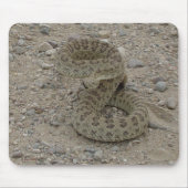 R9 Prairie Rattlesnake Coiled Mousepad (Vorne)