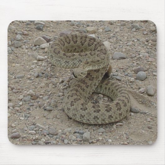 R9 Prairie Rattlesnake Coiled Mousepad (Vorne)