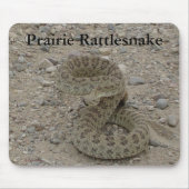 R9 Prairie Rattlesnake Coiled Mousepad (Vorne)