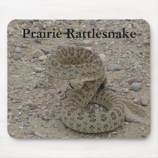 R9 Prairie Rattlesnake Coiled Mousepad (Vorne)