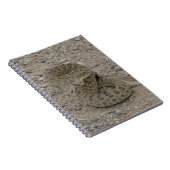 R9 Prairie Rattlesnake Coiled Notizblock (Rechte Seite)