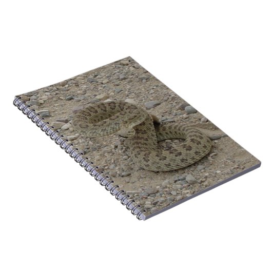 R9 Prairie Rattlesnake Coiled Notizblock (Rechte Seite)