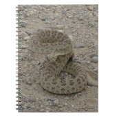 R9 Prairie Rattlesnake Coiled Notizblock (Vorderseite)