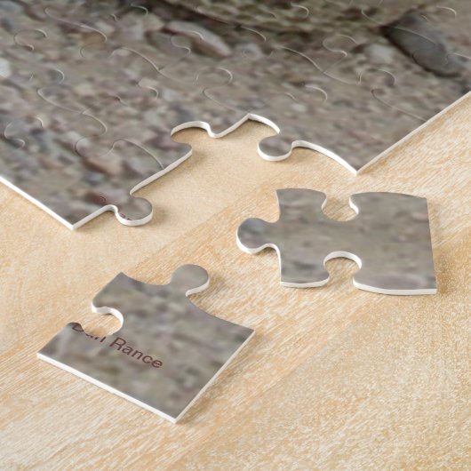 R9 Prairie Rattlesnake Coiled Puzzle (Seite)