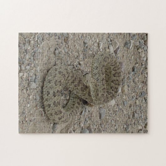 R9 Prairie Rattlesnake Coiled Puzzle (Horizontal)