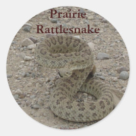 R9 Prairie Rattlesnake Coiled Runder Aufkleber