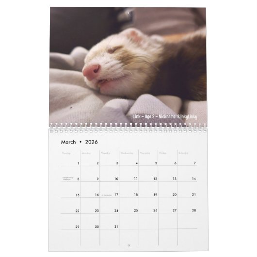 r/ferrets 2024 - Wettbewerb Kalender (Mär 2026)