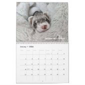 r/ferrets 2024 - Wettbewerb Kalender (Jan 2026)
