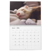 r/ferrets 2024 - Wettbewerb Kalender (Mär 2026)