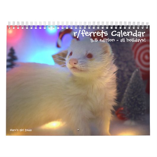 r/ferrets Calendar 3.5 Edition (2025) Alle Feierta Kalender (Titelbild)