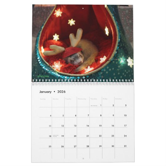 r/ferrets Calendar 3.5 Edition (2025) Alle Feierta Kalender (Jan 2026)