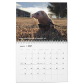 r/ferrets Calendar 3.5 Edition (2025) Alle Feierta Kalender (Mär 2027)