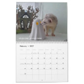 r/ferrets Calendar 3.5 Edition (2025) Alle Feierta Kalender (Feb 2027)