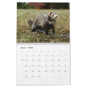 r/ferrets Calendar 3rd Edition (2025) Kalender (Mär 2026)