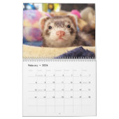 r/ferrets Calendar 3rd Edition (2025) Kalender (Feb 2026)