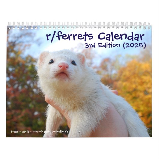 r/ferrets Calendar 3rd Edition (2025) Kalender (Titelbild)