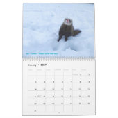 r/ferrets Calendar 3rd Edition (2025) Kalender (Jan 2027)