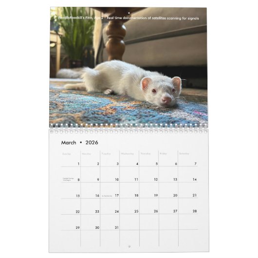 r/ferrets Calendar 4th Edition (2026) Kalender (Mär 2026)