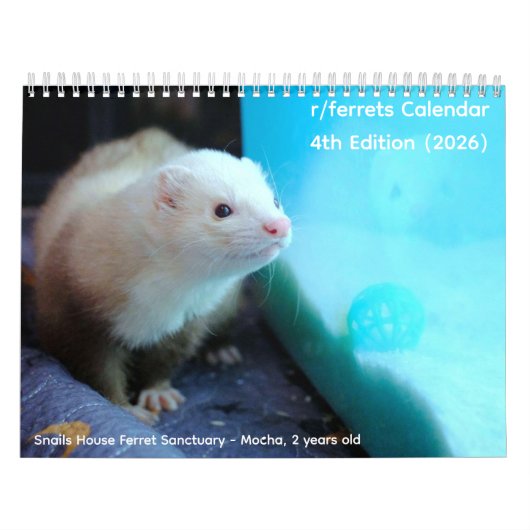 r/ferrets Calendar 4th Edition (2026) Kalender (Titelbild)