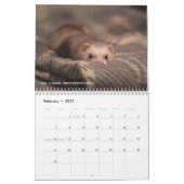 r/ferrets Calendar 5th Edition (2026) Kalender (Feb 2027)