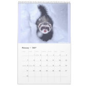 r/ferrets Kalender 2023 (Feb 2027)