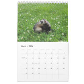 r/ferrets Kalender 2023 (Mär 2026)