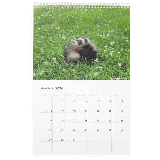 r/ferrets Kalender 2023 (Mär 2026)