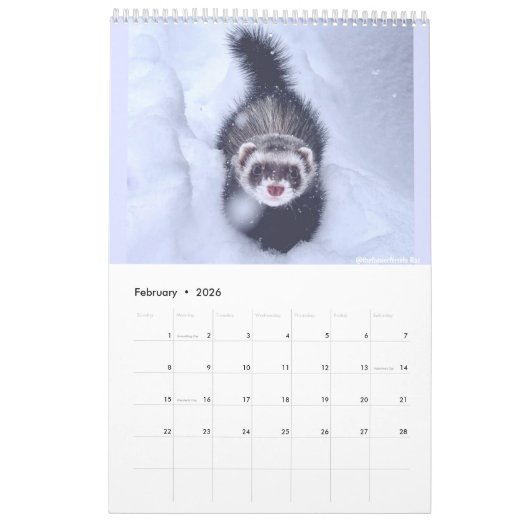 r/ferrets Kalender 2023 (Feb 2026)