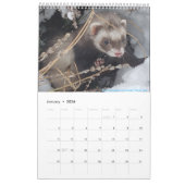 r/ferrets Kalender 2023 (Jan 2026)