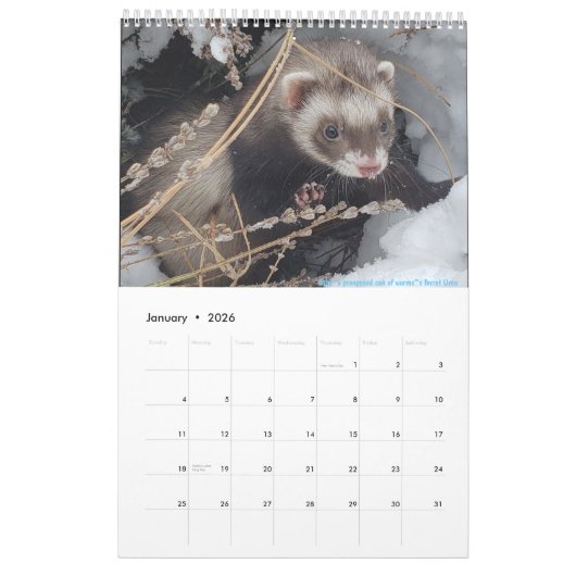 r/ferrets Kalender 2023 (Jan 2026)