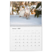 r/ferrets Kalender 5. Ausgabe (2026) (Jan 2027)
