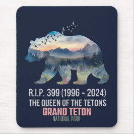 R.I.P. 399 (1996-2024) Königin des Zetonbären Mousepad