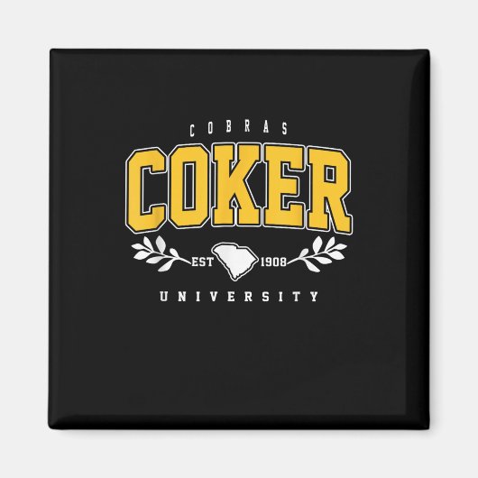 R Institute Cobras Technology Arch Retro for Men W Magnet (Vorne)