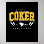 R Institute Cobras Technology Arch Retro for Men W Poster (Vorne)