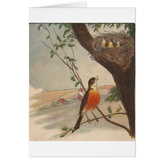 R ist für Robin (Vorne)