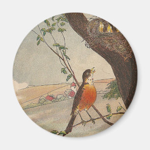 R ist für Robin Magnet