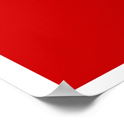 (R) Panda Poster (Ecke)