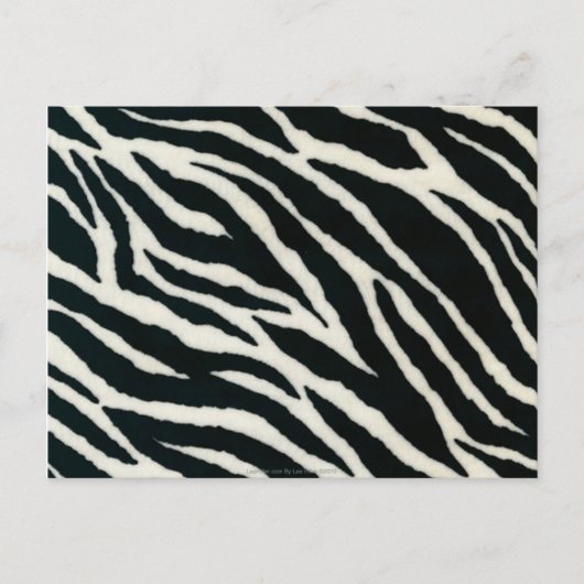 RAB Rockabilly Zebra Print Black & White Postkarte (Vorderseite)