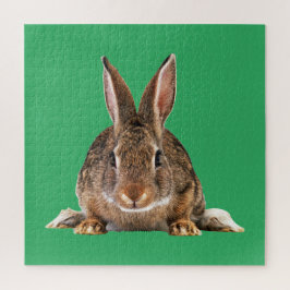 RABBBIT PUZZLE