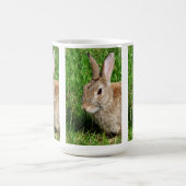 RABBBITS KAFFEETASSE (Mittel)