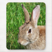 RABBBITS MOUSEPAD (Vorne)