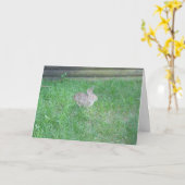 "Rabbit #1" Osterkarte Karte (Gelbe Blume)