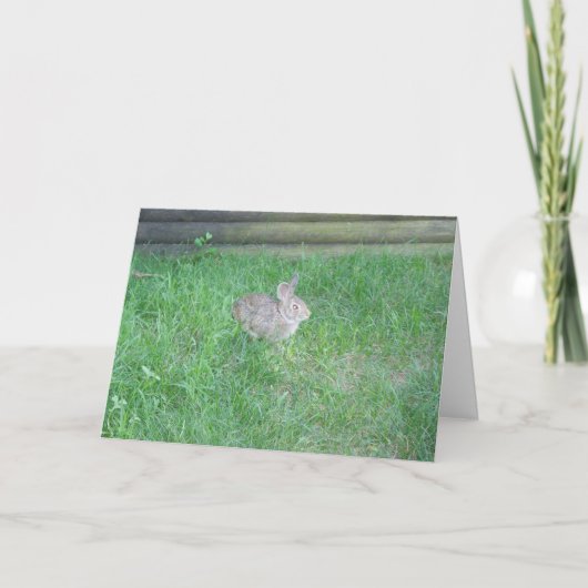 "Rabbit #1" Osterkarte Karte (Vorderseite)