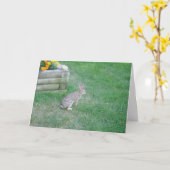 "Rabbit #2" Osterkarte Karte (Gelbe Blume)