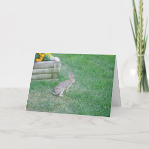 "Rabbit #2" Osterkarte Karte