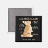 Rabbit Anatomy Bunny Lover Animal Pet Owner  Magnet (Vorderseite/Rückseite)