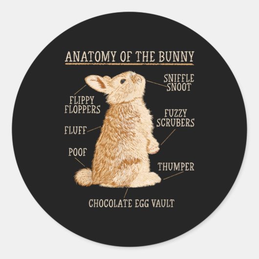 Rabbit Anatomy Bunny Lover Animal Pet Owner  Runder Aufkleber (Vorderseite)