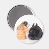 Rabbit and guinea pig magnet (Vorderseite/Rückseite)